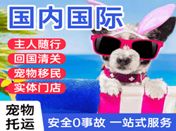 咸阳机场快运国际宠物托运 【国